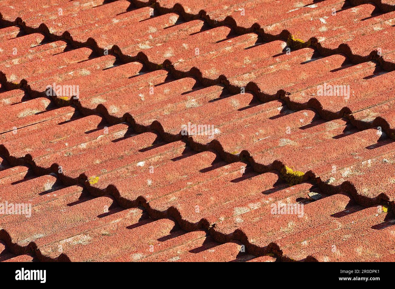 The tiled roof is covered with bird droppings. Selective focus Stock Photo