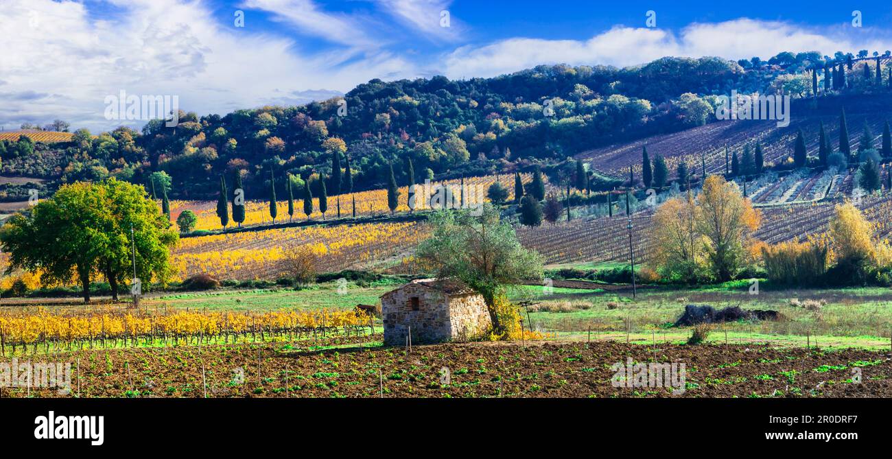 Italy. Tuscany scenic nature landscape. panoramic view of countryside with hills of vineyards in autumn colors Stock Photo