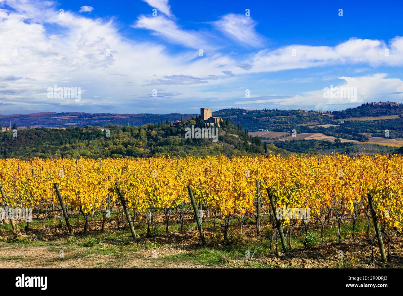 Italy, Toscana scenery . Golden vineyards of Tuscany.  panorama of medieval castle and yellow grapewines. Stock Photo