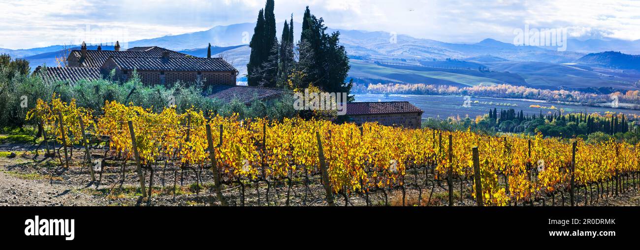 Italy. Tuscany scenic nature landscape. panoramic view of countryside with hills of vineyards in autumn colors Stock Photo