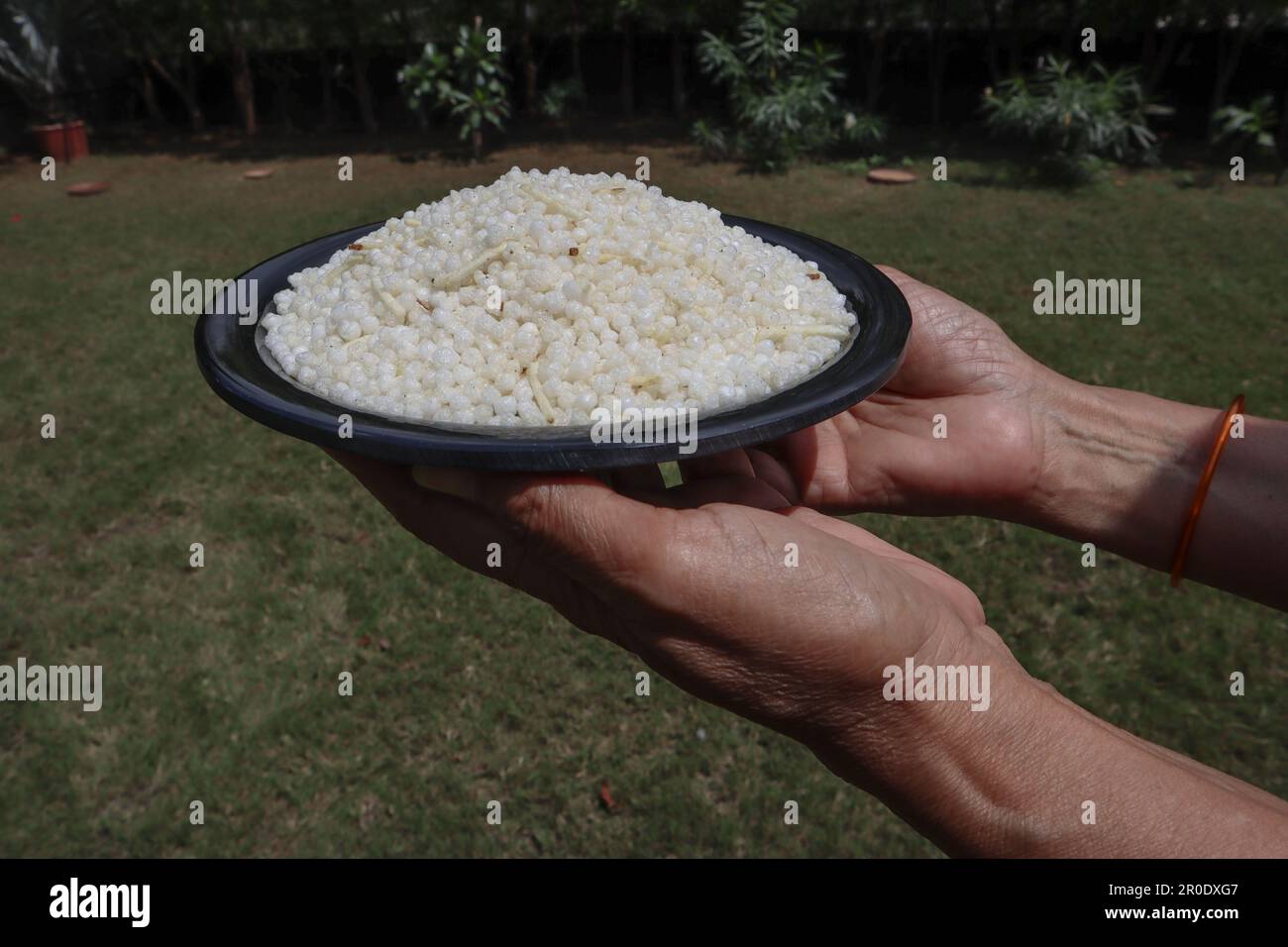 Female holding and serving Namkeen Sabudana Falhari Chiwda made of Sago balls eaten during Fasting days in India known as Upawas or Faral. White sago Stock Photo