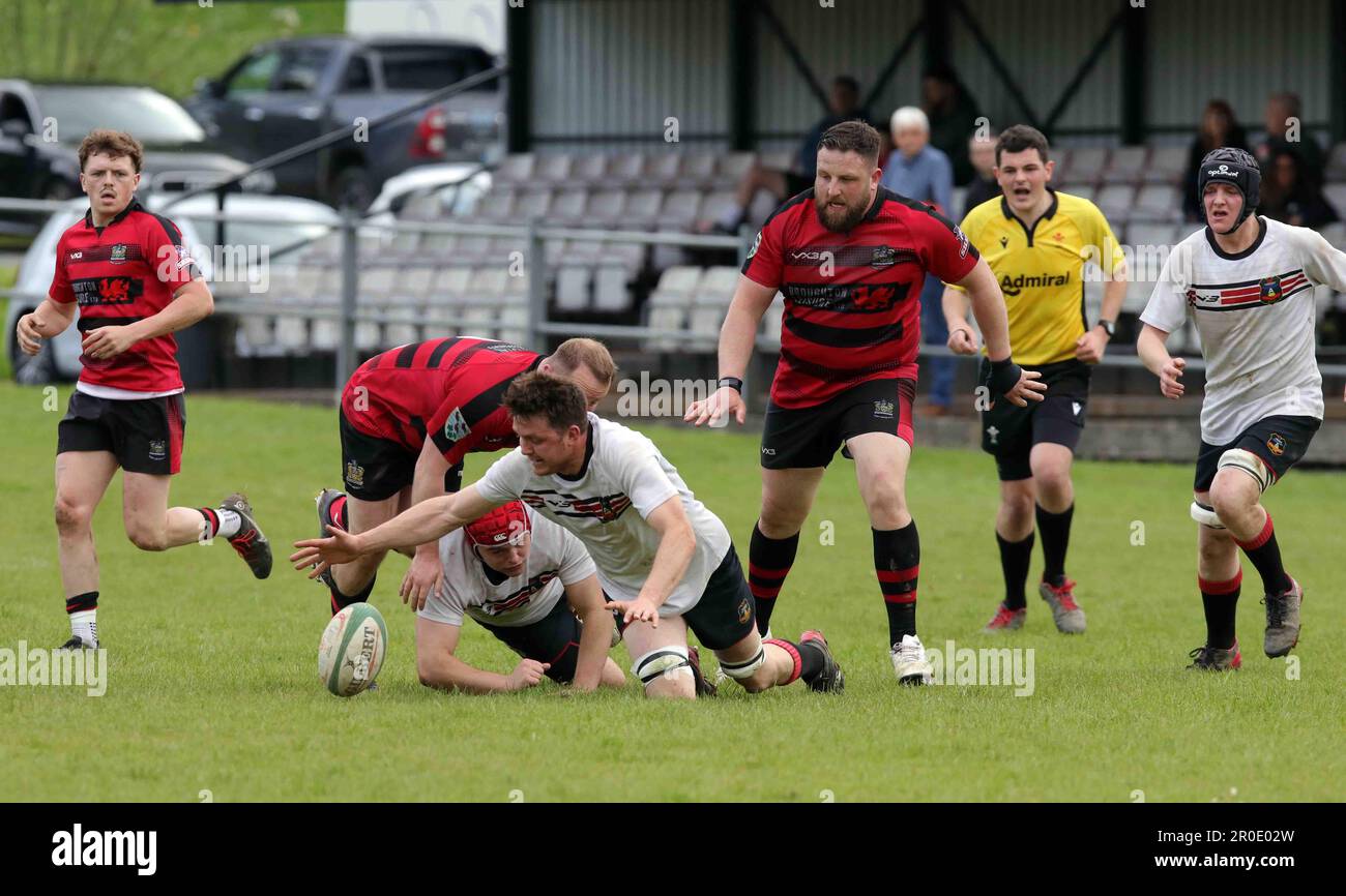 Tenby Rfc Tenby rfc hi-res stock photography and images - Alamy