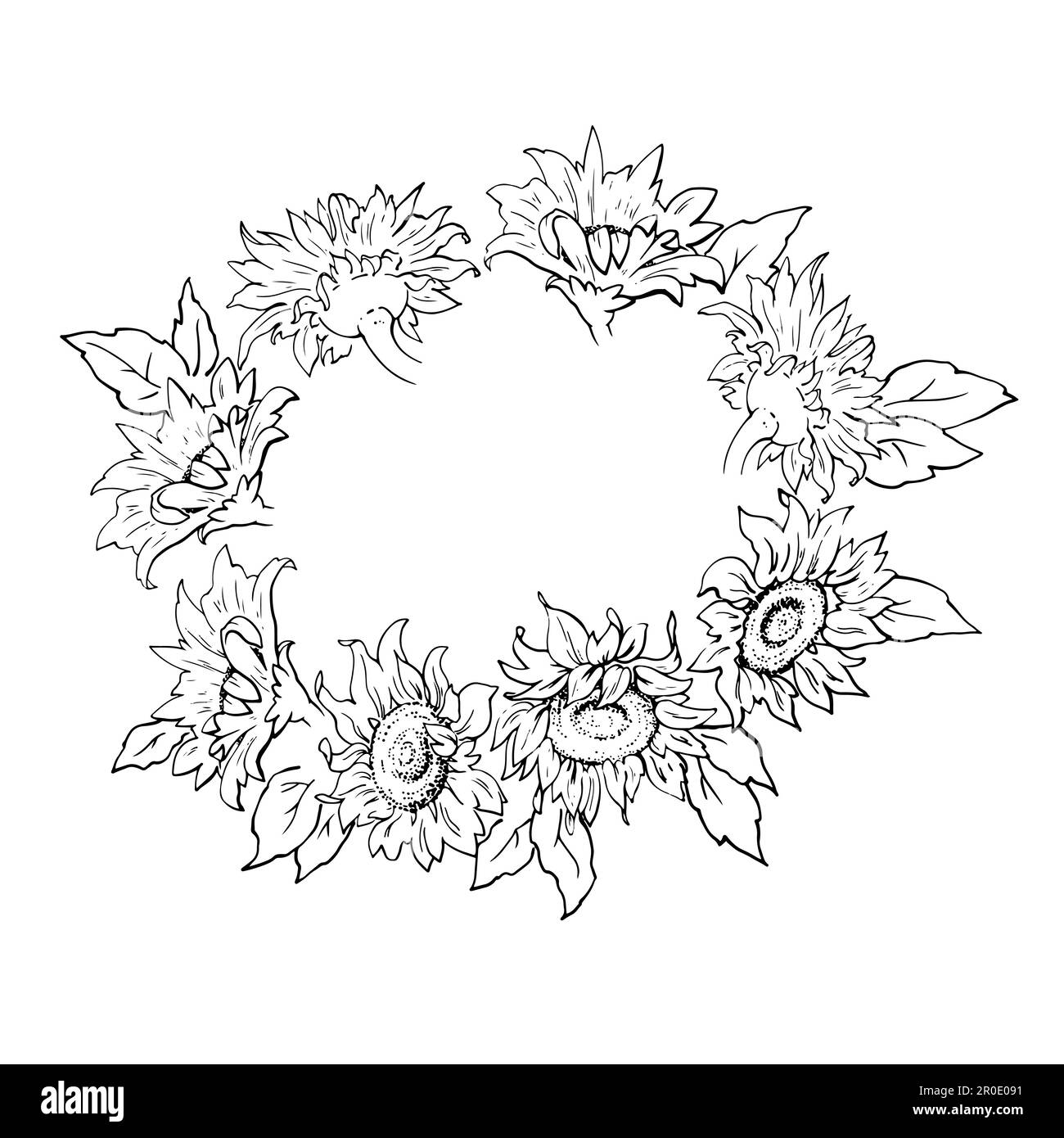 Vector graphics. Linear freehand drawing of a wreath of sunflowers