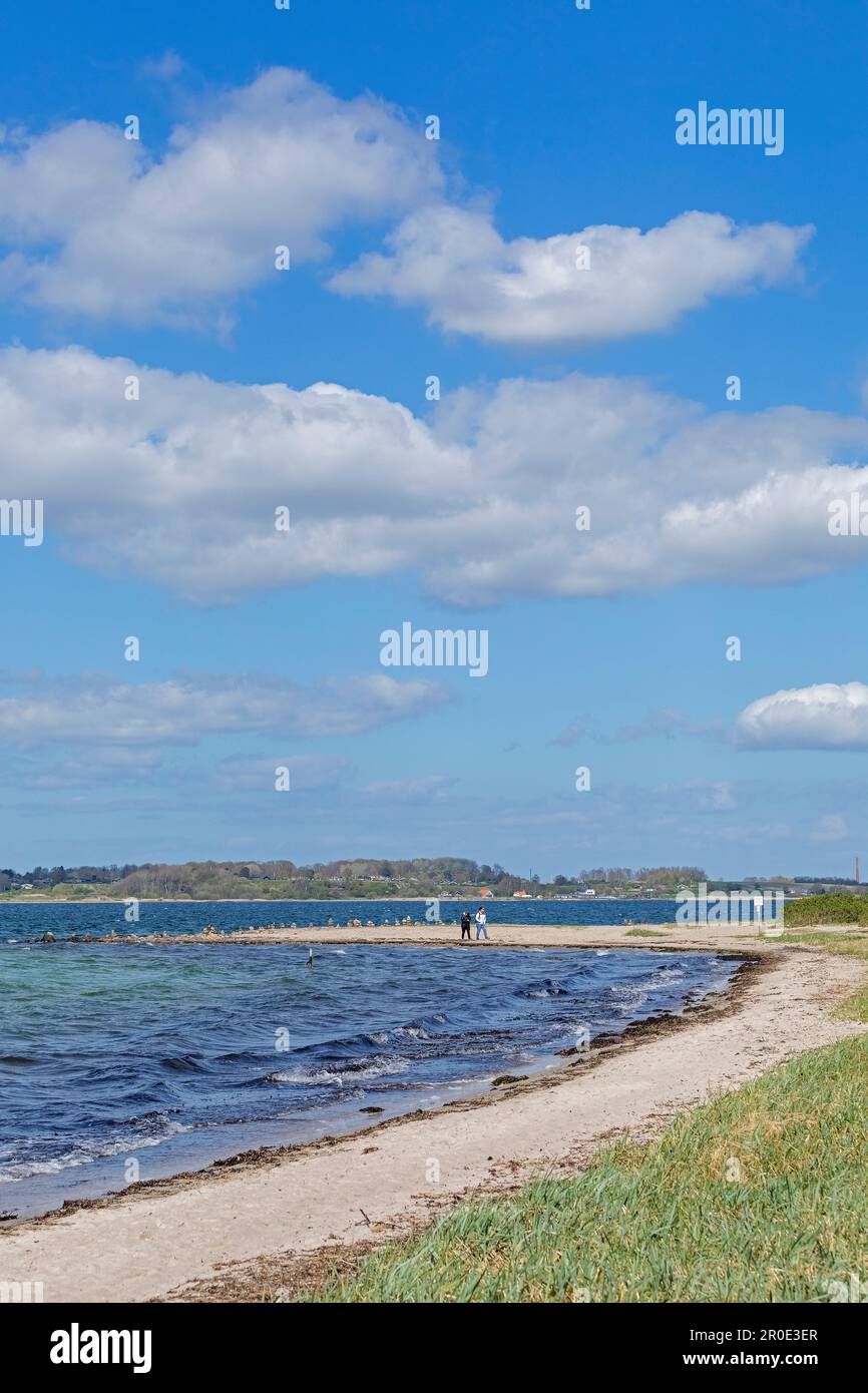 Beach, most Northern point of the German mainland in view of Denmark, Baltic Sea, Holnis Peninsula, Schleswig-Holstein, Germany Stock Photo
