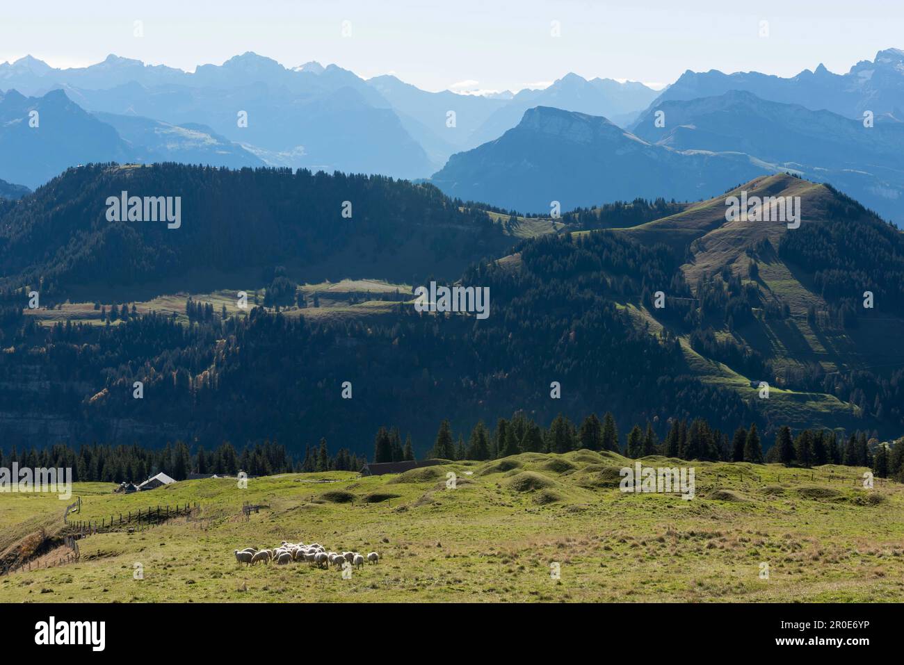 Mount rigi lucerne hires stock photography and images Alamy