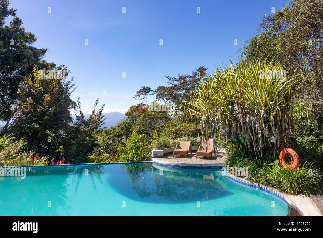 The pool in the garden of the 'Rosa Blanc', Santa Bárbara, Heredia, Costa Rica, Central America Stock Photo