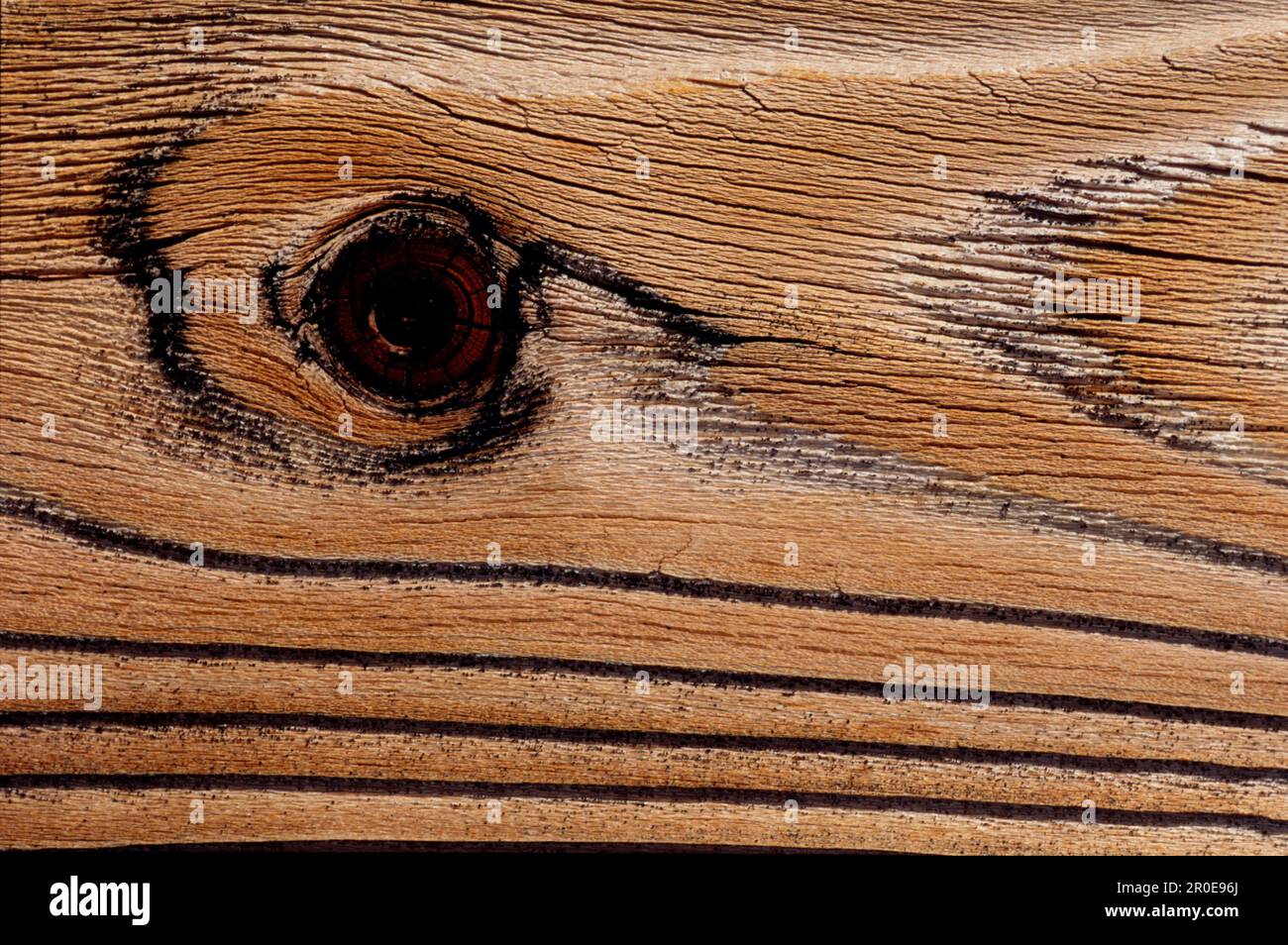 Holz Struktur Stock Photo
