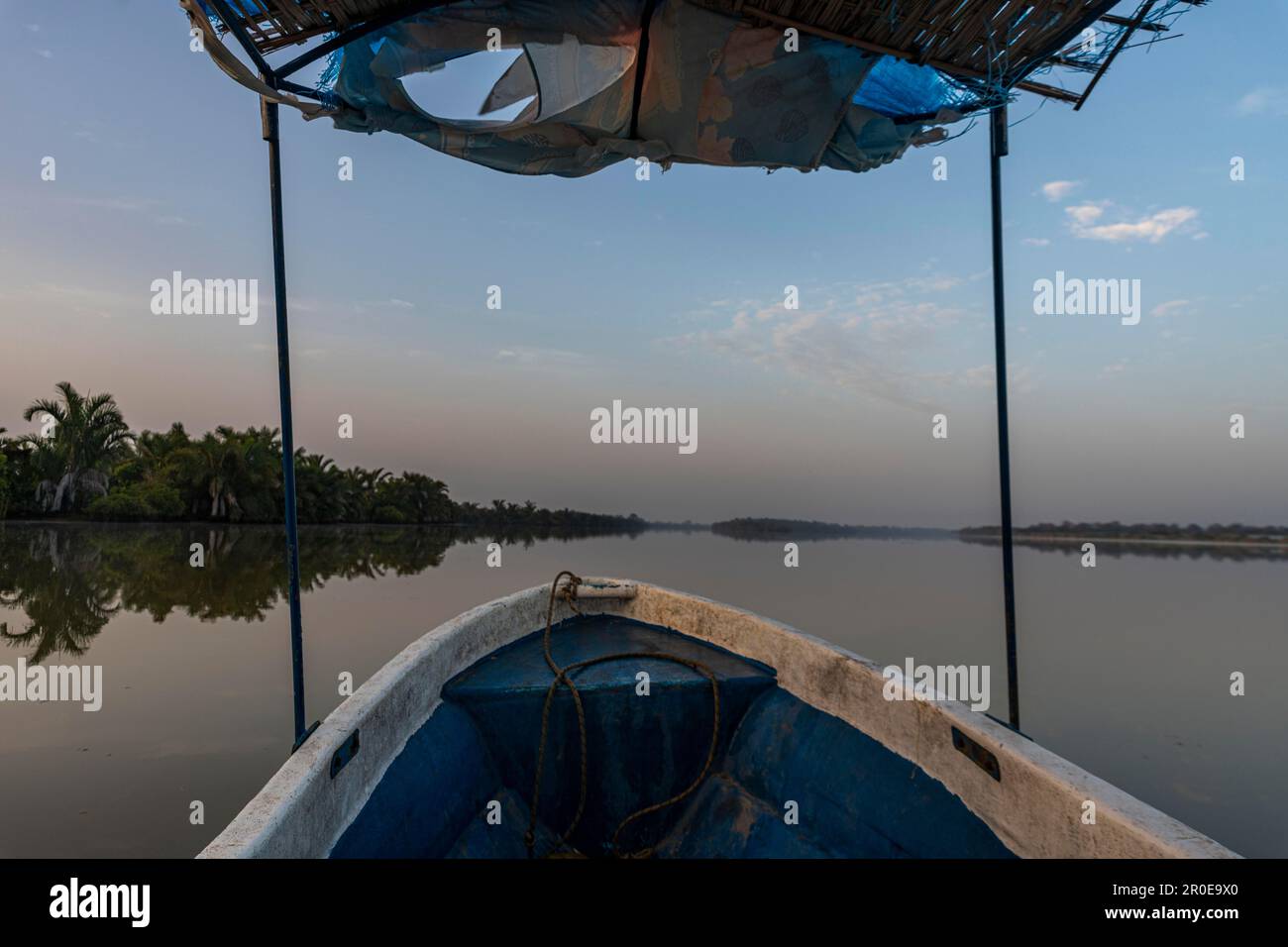 Morning light at the River Gambia National Park, Gambia Stock Photo