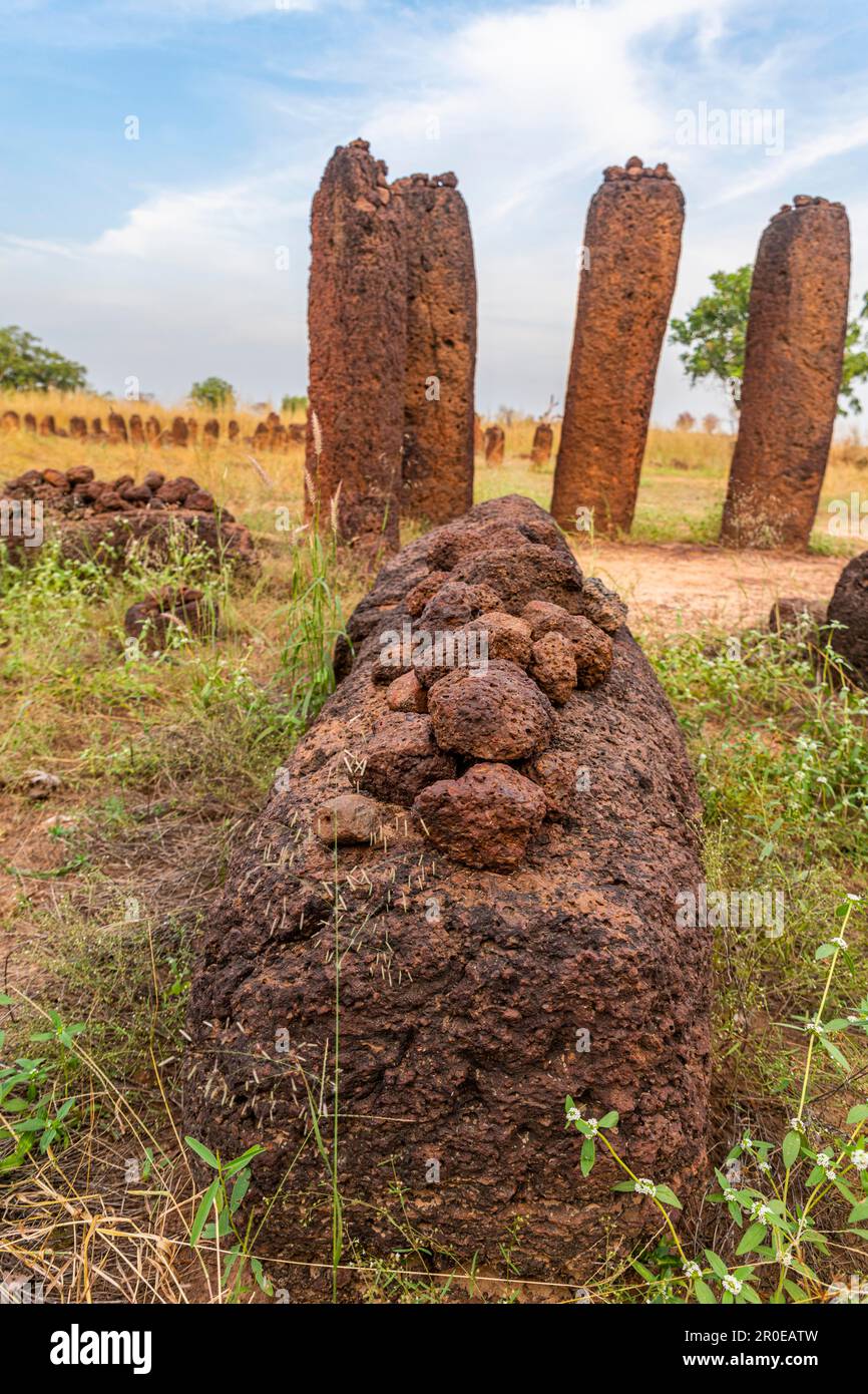 Unesco site Senegambian stone circles, Wassu, Gambia Stock Photo