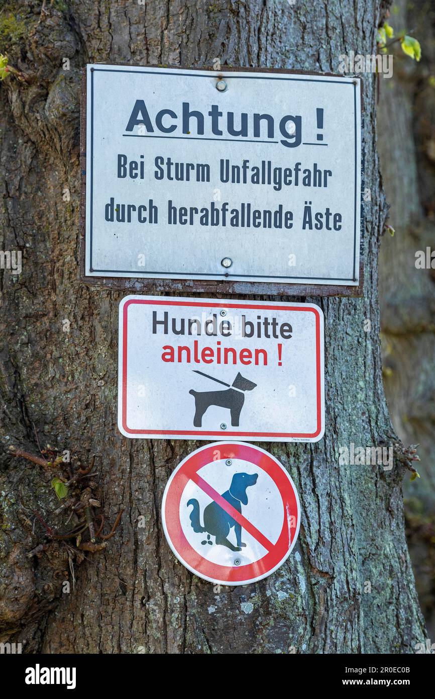 Info signs on a tree, cemetery, Sieseby, Schlei, Schleswig-Holstein, Germany Stock Photo