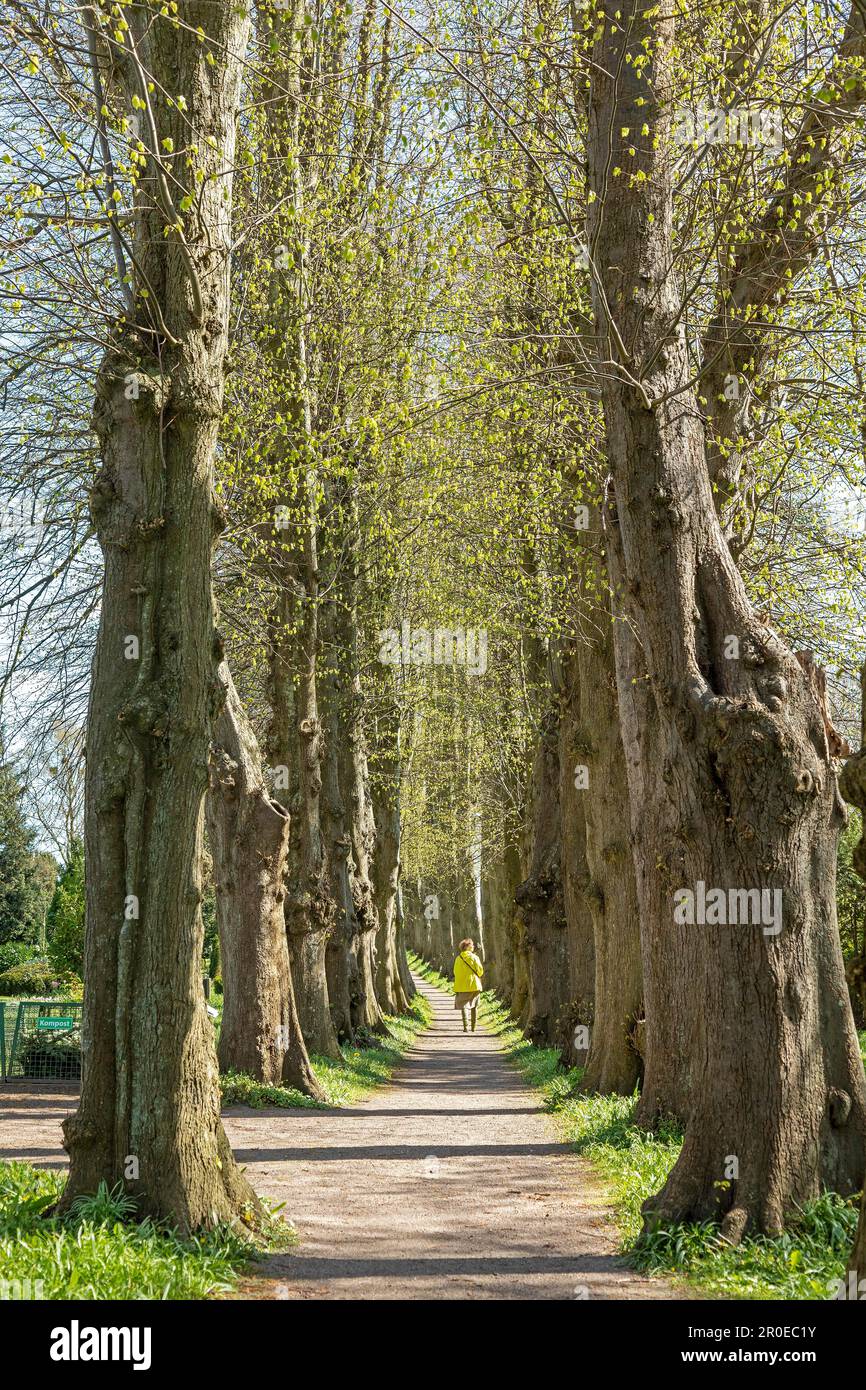 The Simpsons онлайн көру (жаңа маусым)