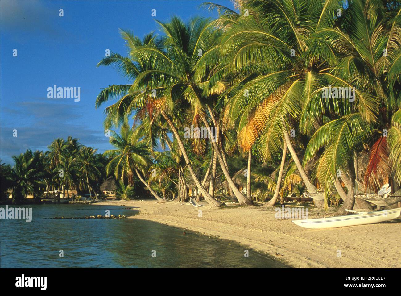 Strandbungalows Zwischen Palmen Manihi Pearl Beach Resort Manihi strandbungalows-zwischen-palmen-manihi-pearl-beach-resort-manihi