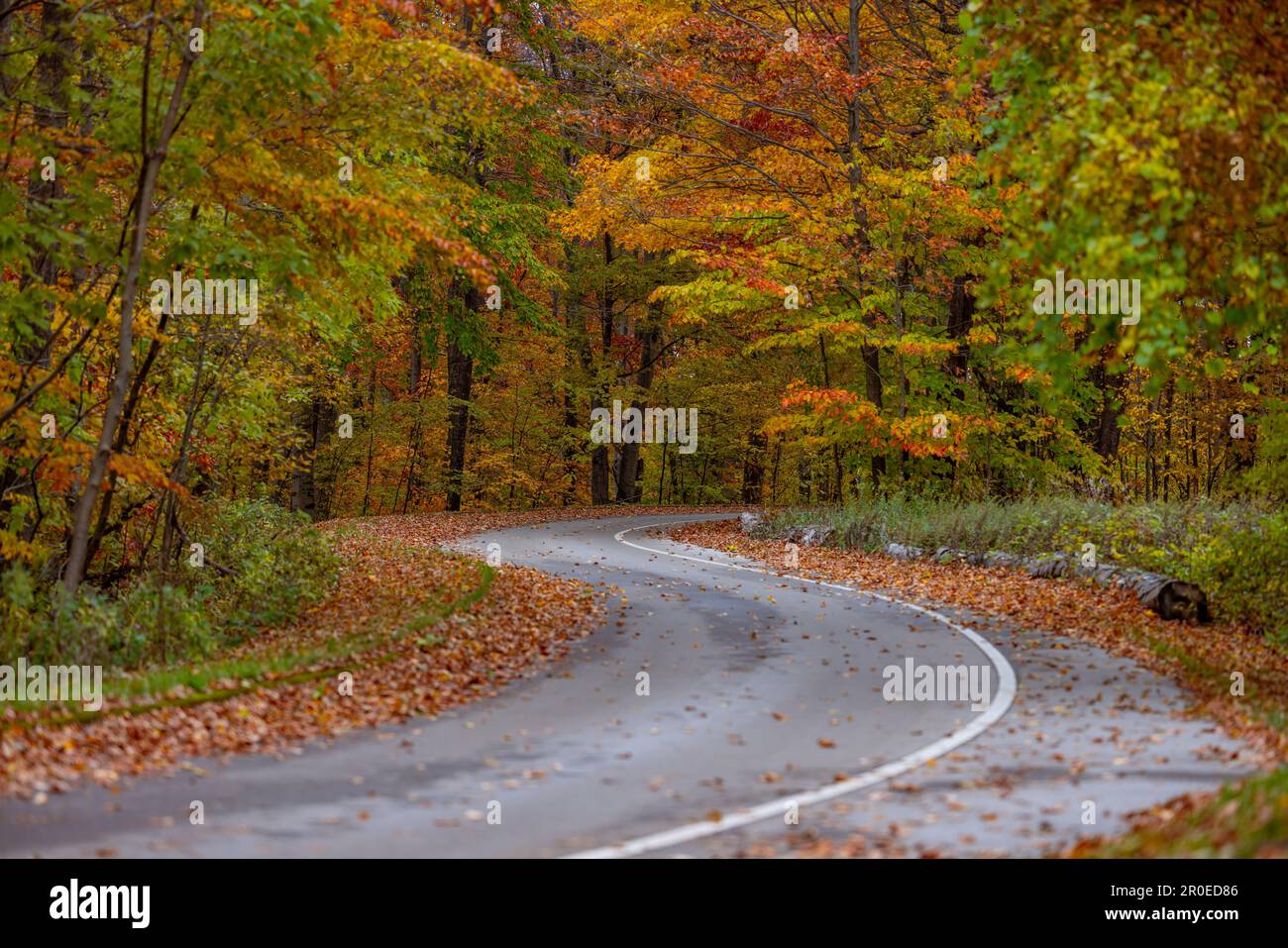 Enveloped in vibrant colors hi-res stock photography and images - Alamy