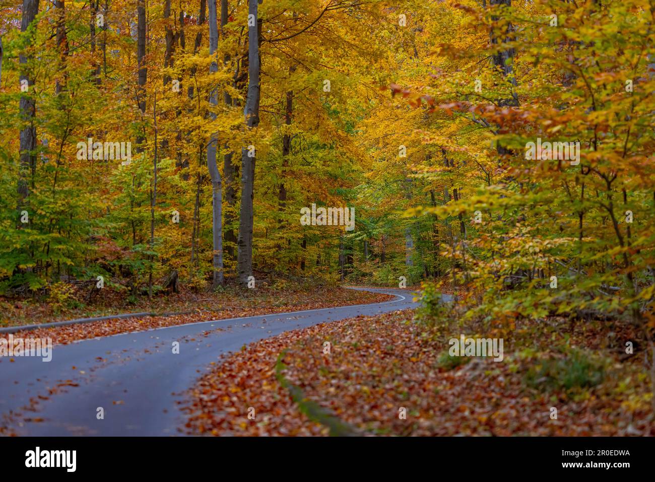 Enveloped in vibrant colors hi-res stock photography and images - Alamy