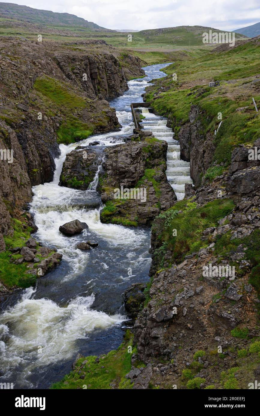 Salmon fish ladder hi-res stock photography and images - Alamy