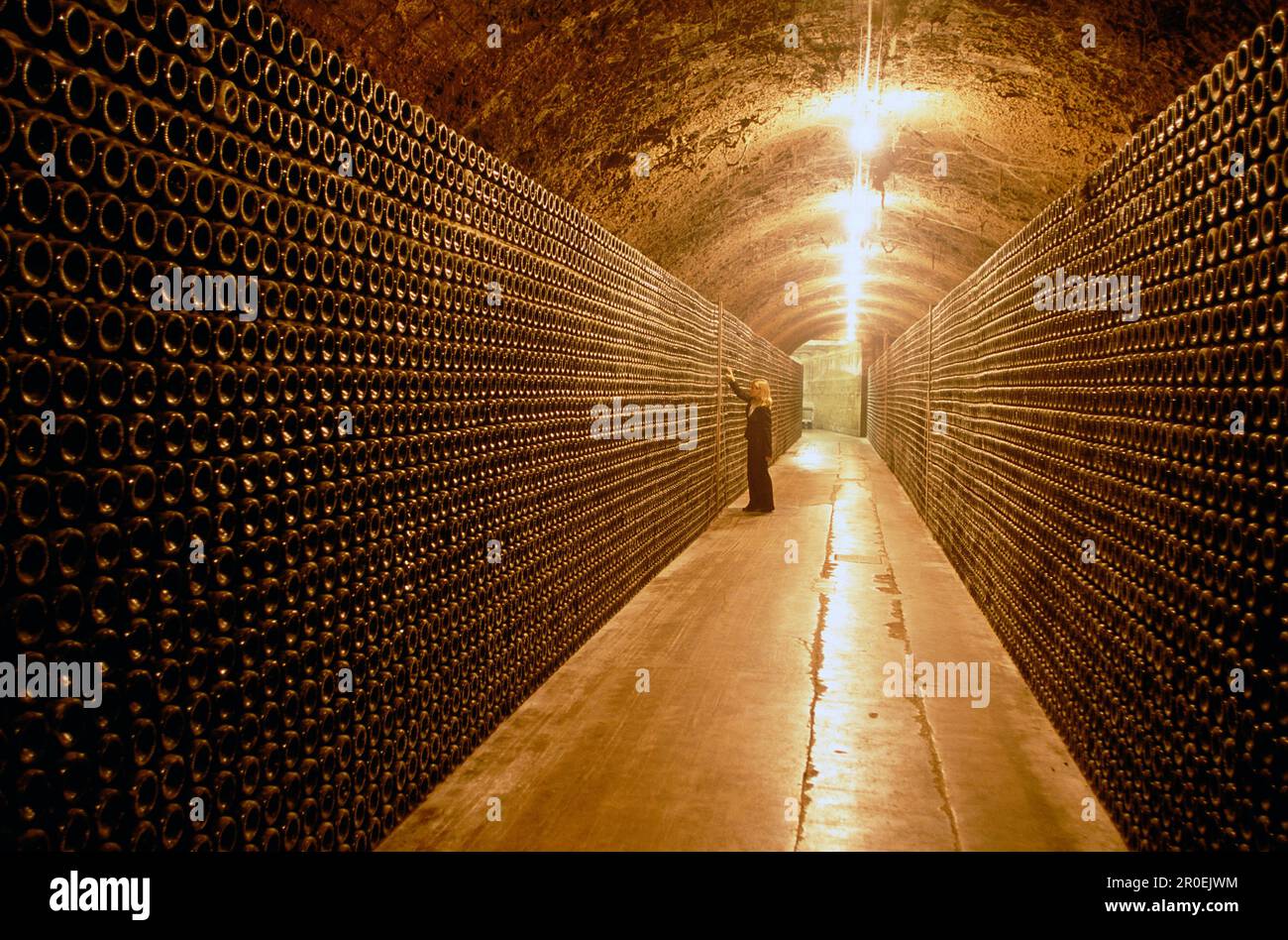 Bottles int he wine cellar, Penedes, Cava Cellar methode champagnoise, Freixenet, Sant Sadurni d'Anola, Catalonia, Spain Stock Photo