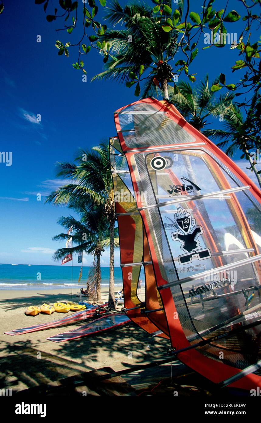 Surf Board, Sail, Beach, Surf School on the beach of Cabarete