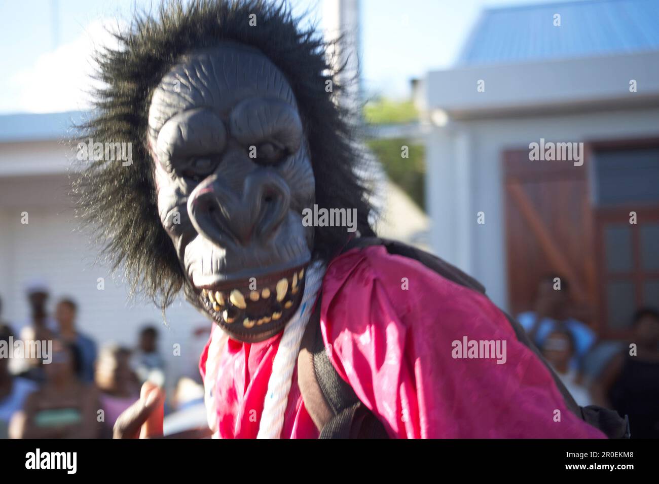 Mask, Monkey, Carnival, Le Moule, Masked as a monkey at the Carnival,  Grande-Terre, Guadeloupe, Caribbean Sea, America Stock Photo - Alamy
