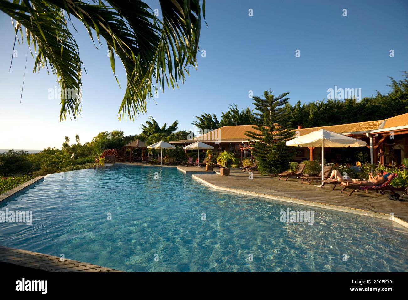 Pool of the Hotel Restaurant Le Rayon Vert in the sunlight, Deshaies, Caribbean, America Stock Photo