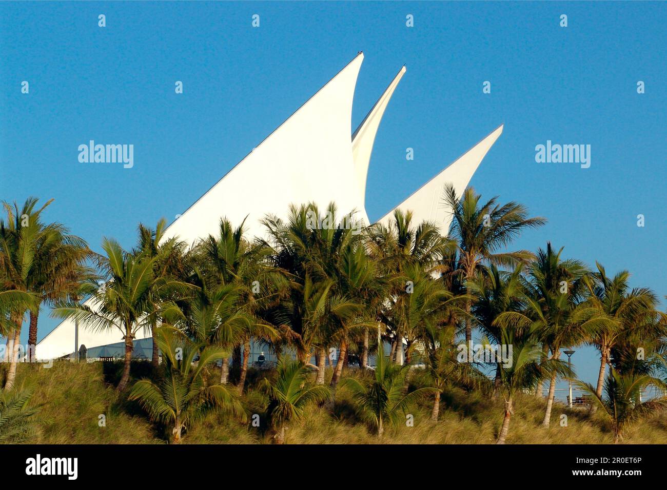 Club house of the Dubai Creek Golf and Yacht Club behind palm trees