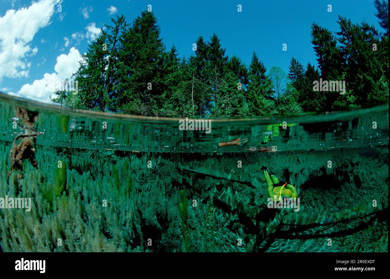 Sauser Spring Suesswasserquelle, freshwater spring Stock Photo - Alamy