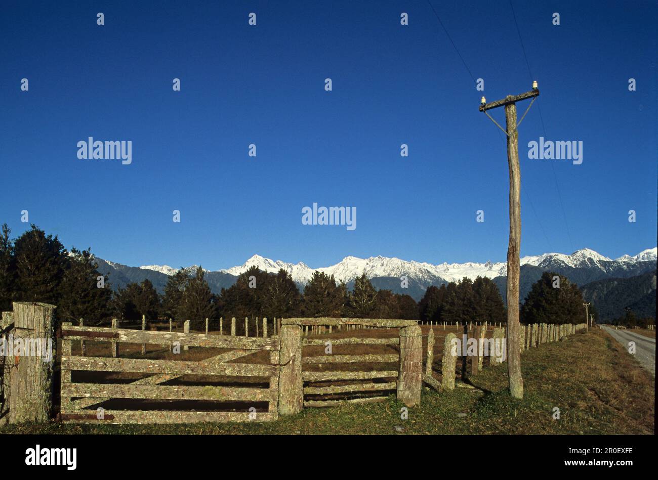 View of weathered fence in front of snow covered Southern Alps, West Coast, South Island, New Zealand, Oceania Stock Photo