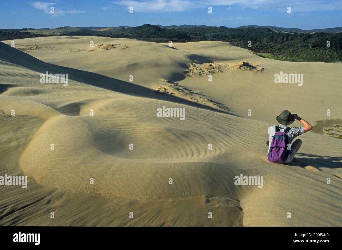 Te Paki sand dunes, Northland, Sand dunes, New Zealand Stock Photo - Alamy