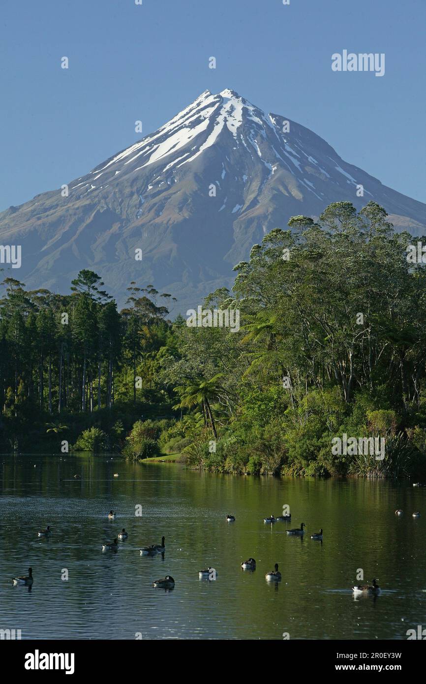 View Of Dormant Volcano Mount Taranaki At Egmont National Park, North ...