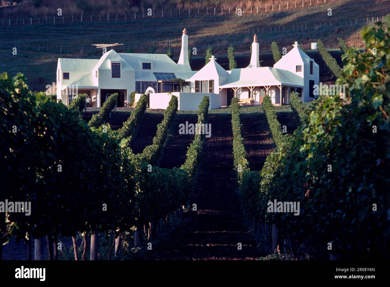 Te mata new zealand winery hi-res stock photography and images - Alamy