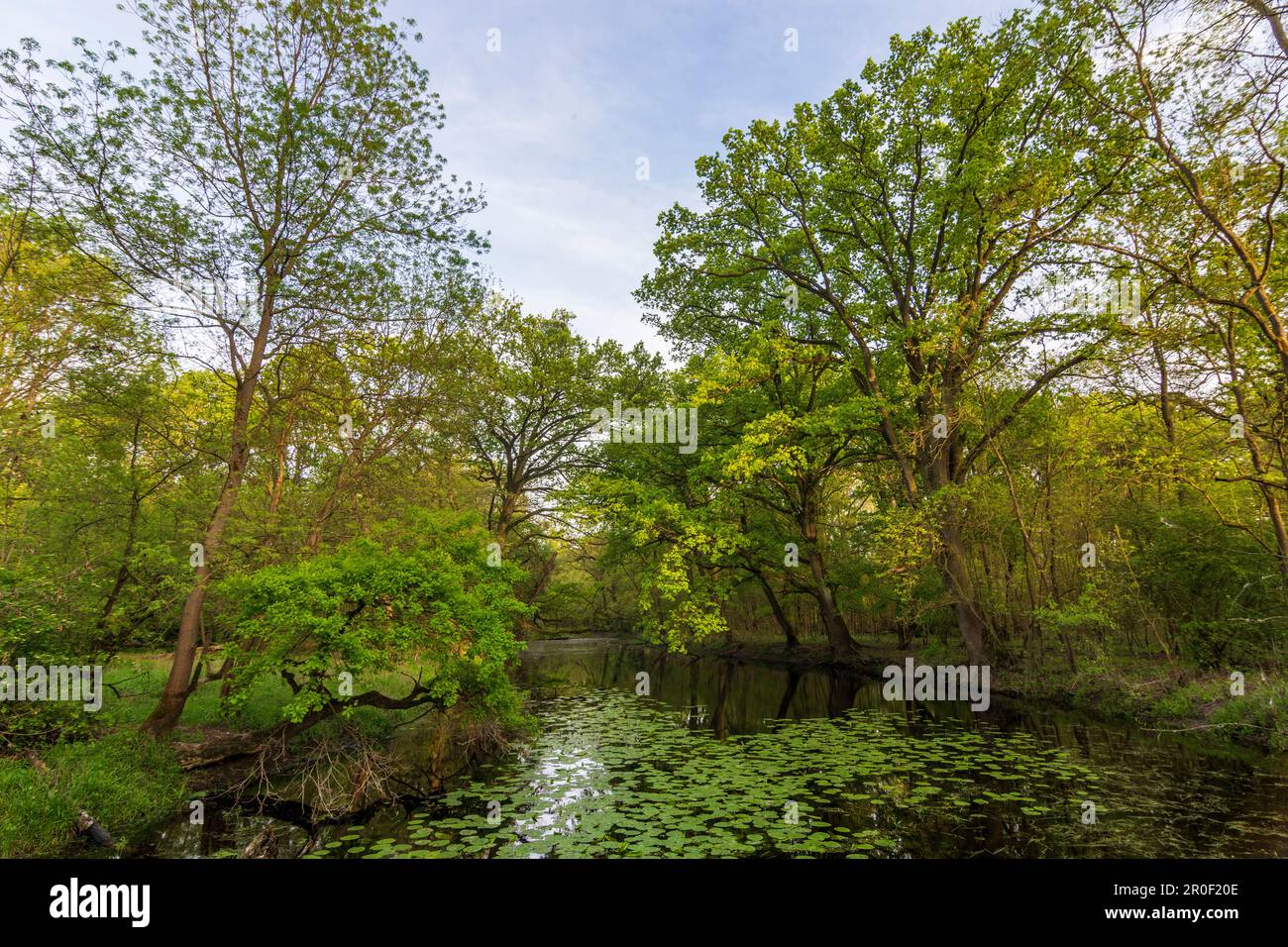 Europaschutzgebiete hi-res stock photography and images - Alamy