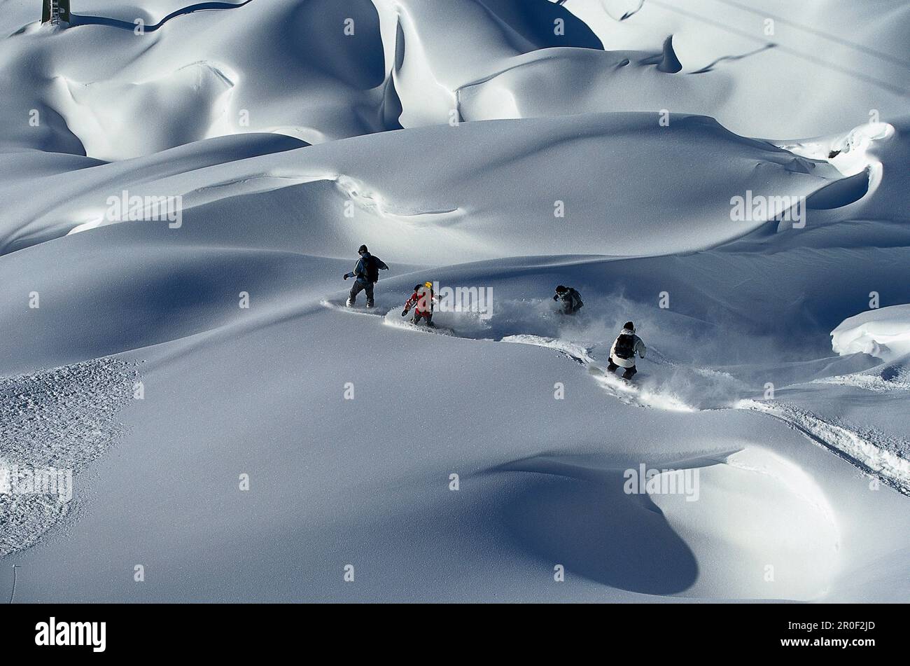 Powder shade hi-res stock photography and images - Alamy