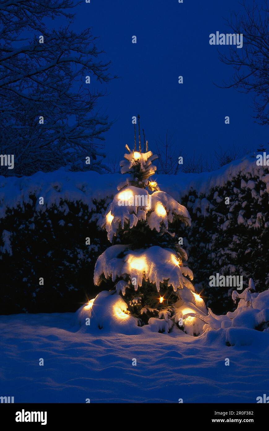 Objects from christmas tree hi-res stock photography and images - Alamy