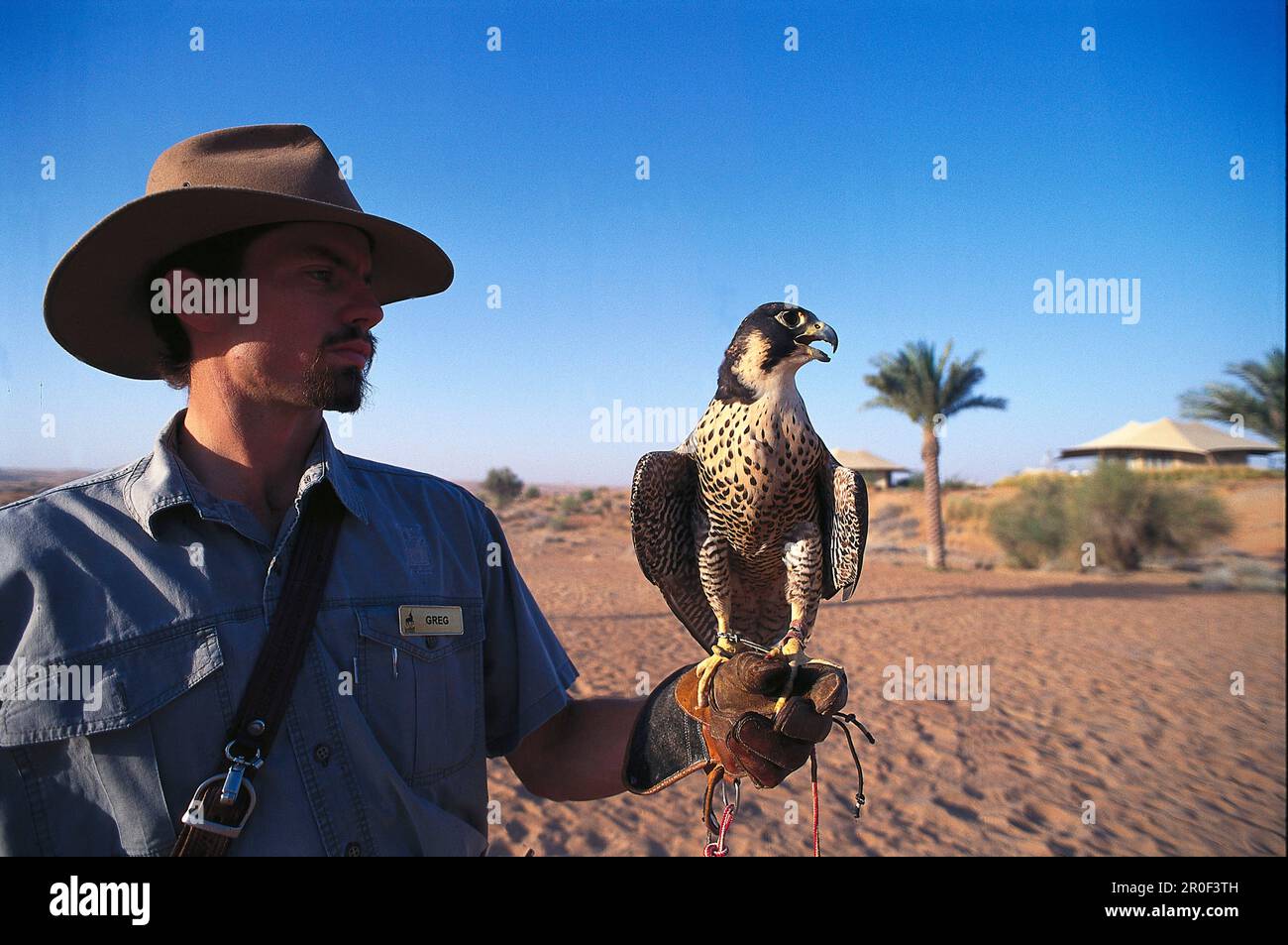 Man with hunting falcon, Al Maha Desert Resort, Dubai, V.A.E., United
