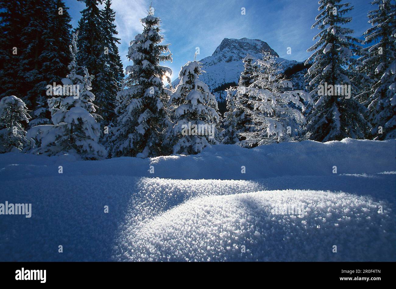 Snowcovered winter scenic near Arlberg, Vorarlberg, Austria Stock Photo ...