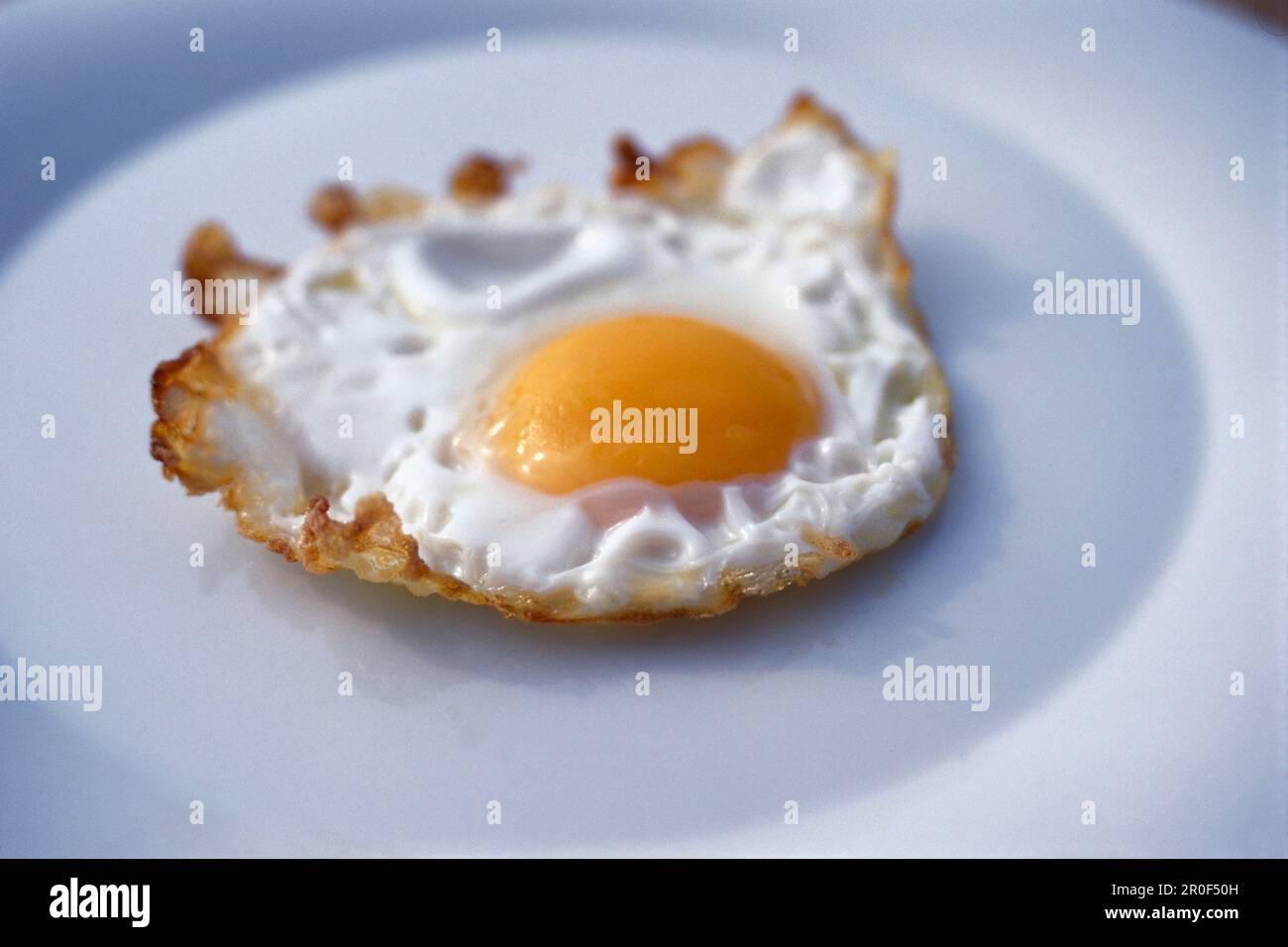 Fried Egg Stock Photo