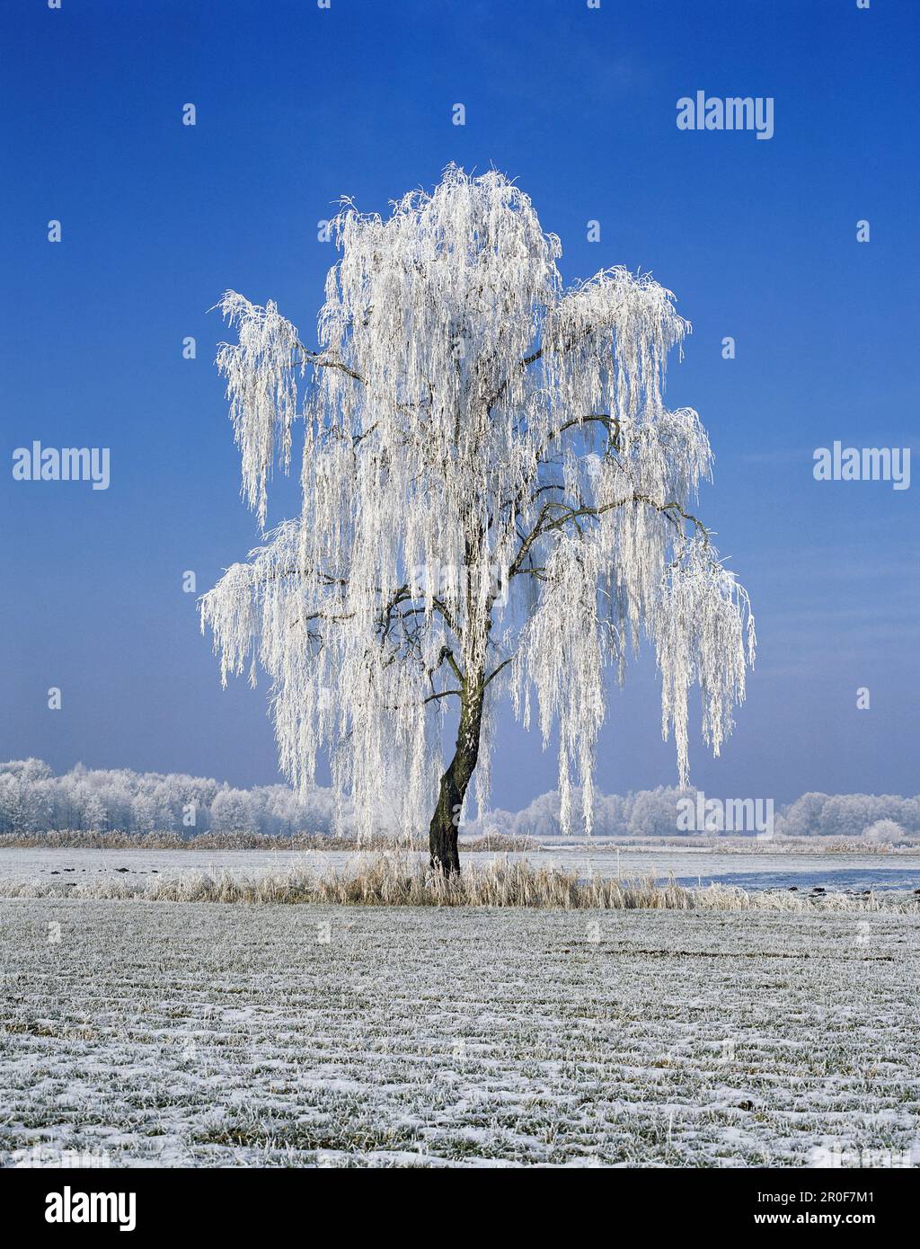 Countryside covered in frost hi-res stock photography and images - Alamy