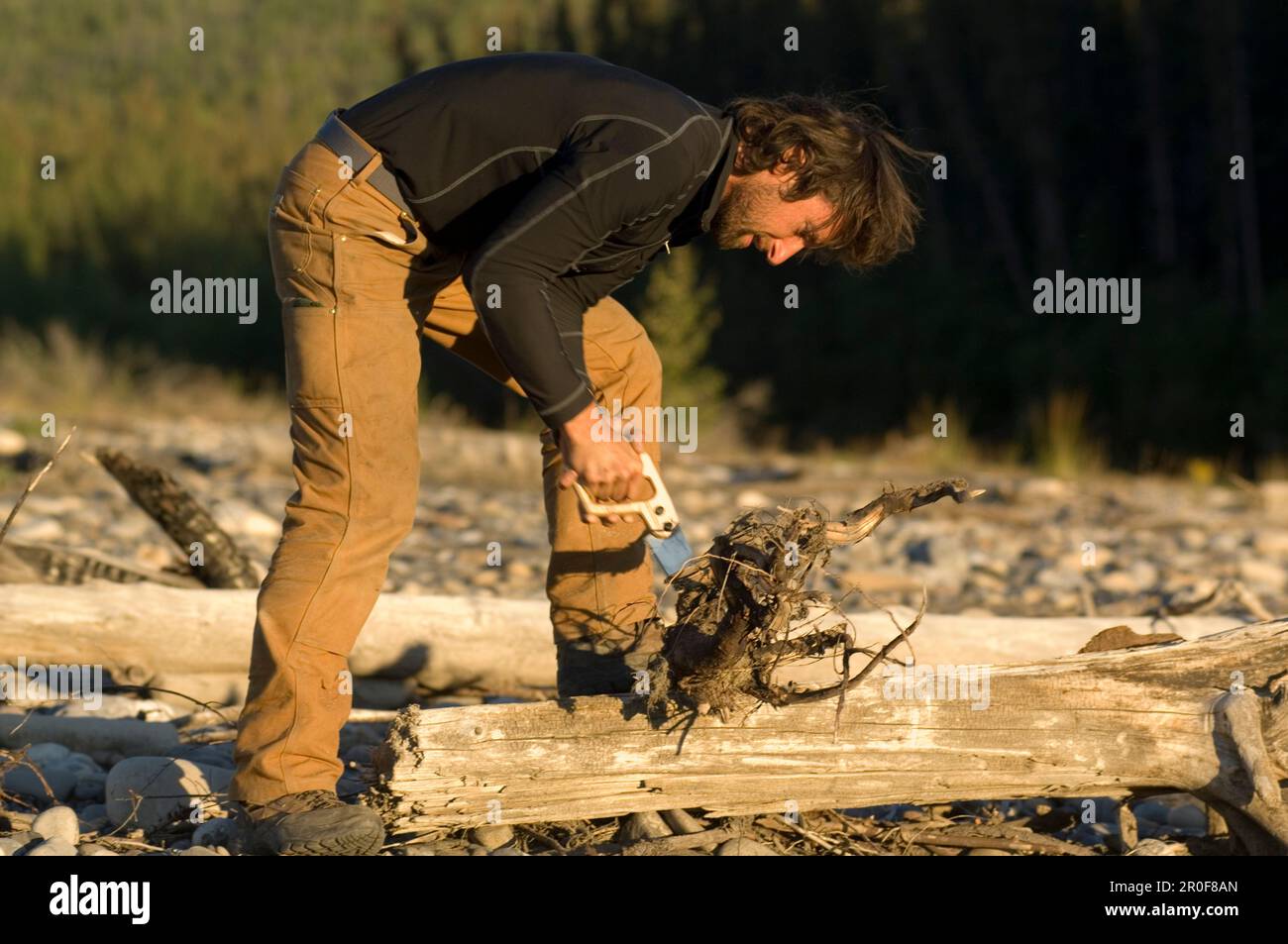 Man sawing wood, Canada Stock Photo