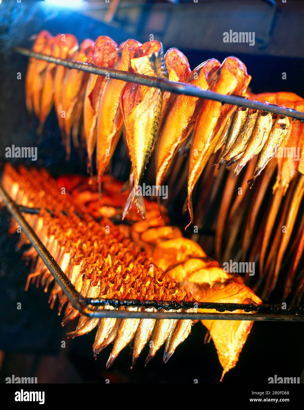 Rows of smoked fish Stock Photo Alamy