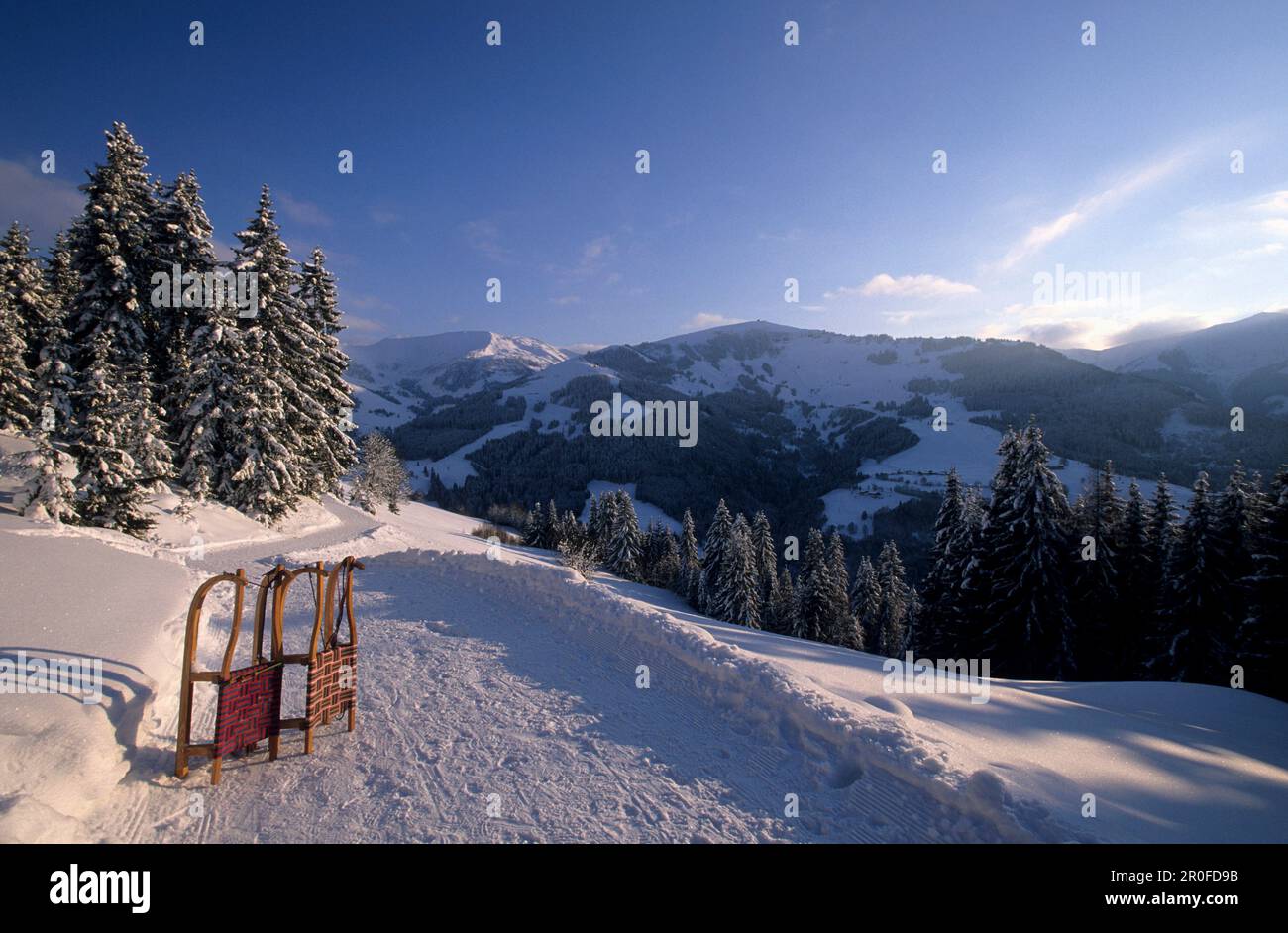 Toboggan run in winter landscape with two sledges, Natrun, Maria Alm