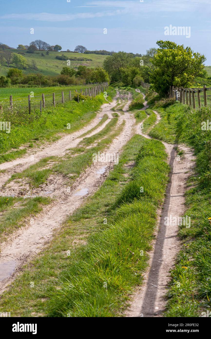 The main footpath/bridleway/track between Chanctonbury and Cissbury Ring Hill Forts in the South Downs National Park, West Sussex, southern England UK Stock Photo