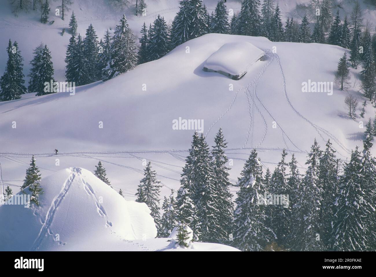Back country skier near mountain hut, Berchtesgaden National Park, Bavaria, Germany Stock Photo