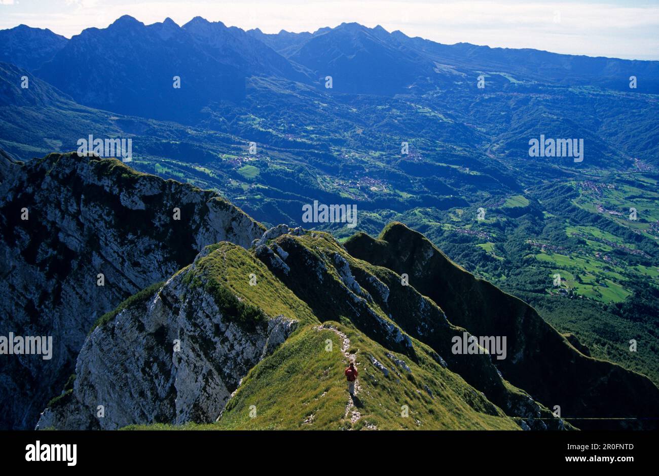 grass-covered ridge of Monte Dolada with hiker, Belluneser range, Belluno, Venezia, Italy Stock Photo