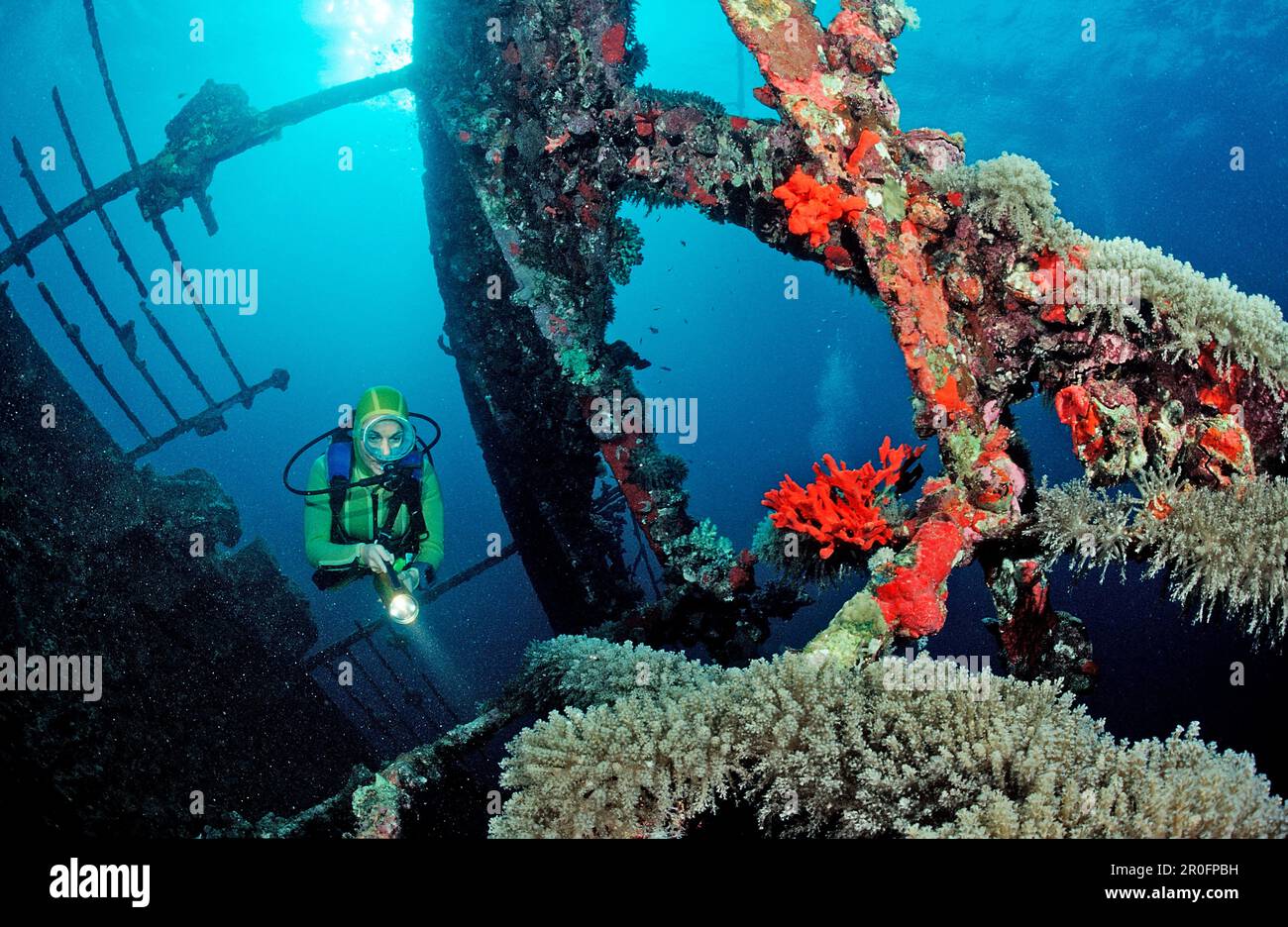 Scuba diver diving on Umbria shipwreck, Sudan, Africa, Red Sea, Wingate Reef Stock Photo