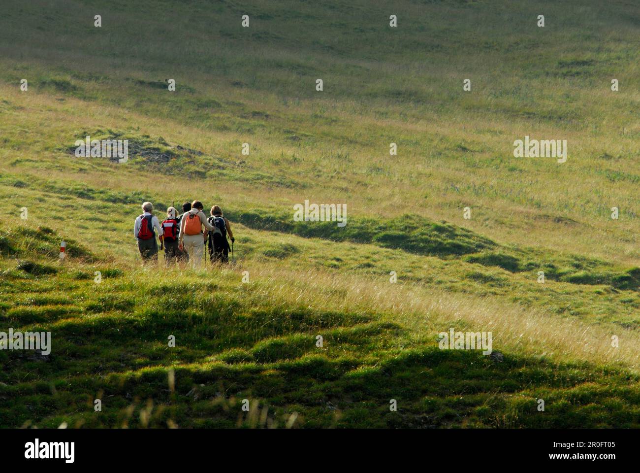Group of hikers crossing alpine pasture, Val Trupchun, Swiss National Park, Engadin, Grisons, Switzerland Stock Photo
