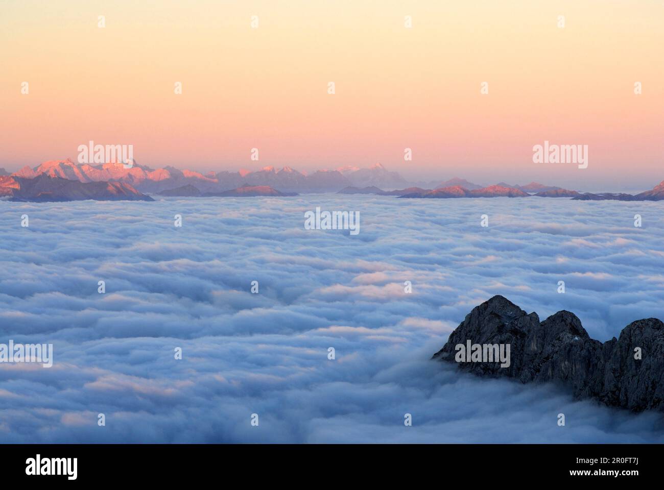 Mountain Scheffauer above fog bank, Karwendel and Wetterstein range in background, Ellmauer Halt, Kaiser range, Tyrol, Austria Stock Photo