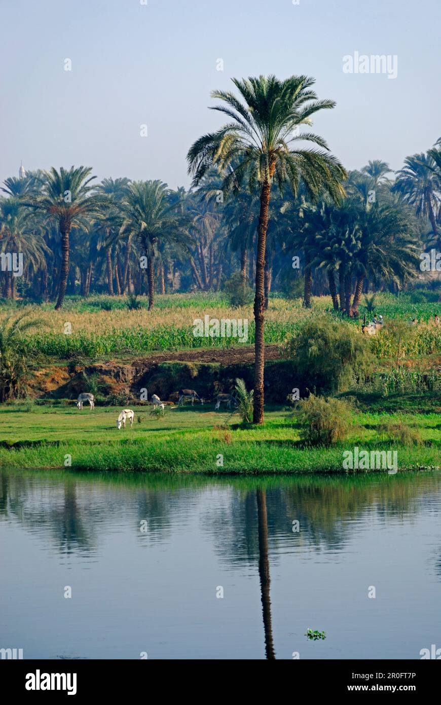 Nile river egypt farmers hi-res stock photography and images - Alamy