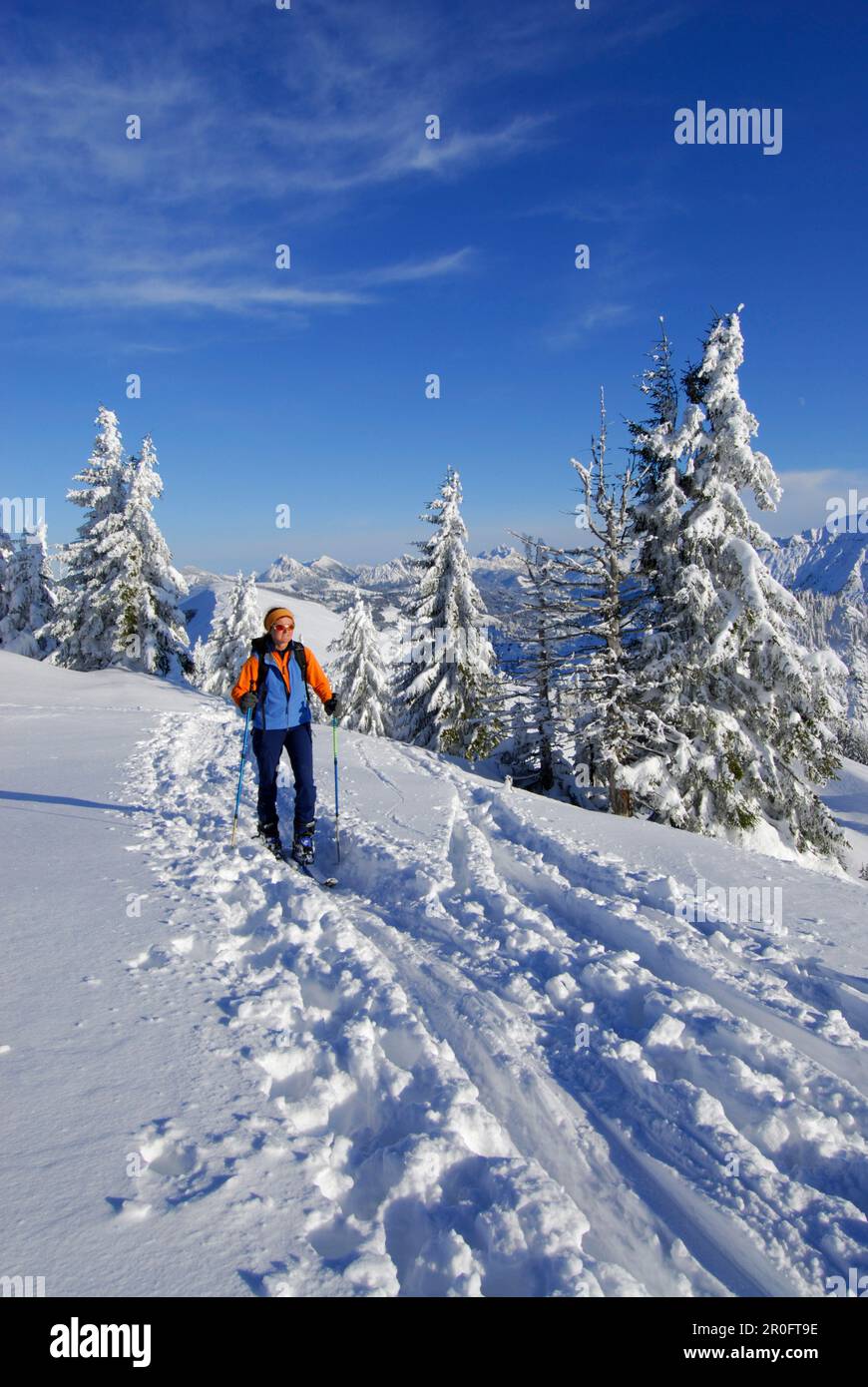 Backcountry skier ascending Spieser, Allgaeu Alps, Bavaria, Germany Stock Photo