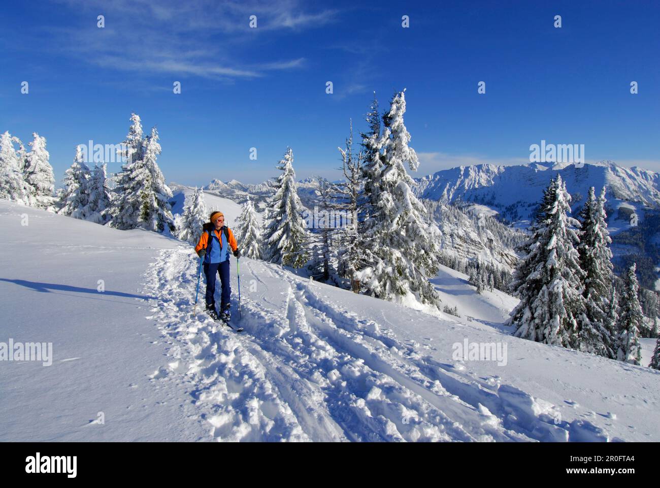Backcountry skier ascending Spieser, Allgaeu Alps, Bavaria, Germany Stock Photo
