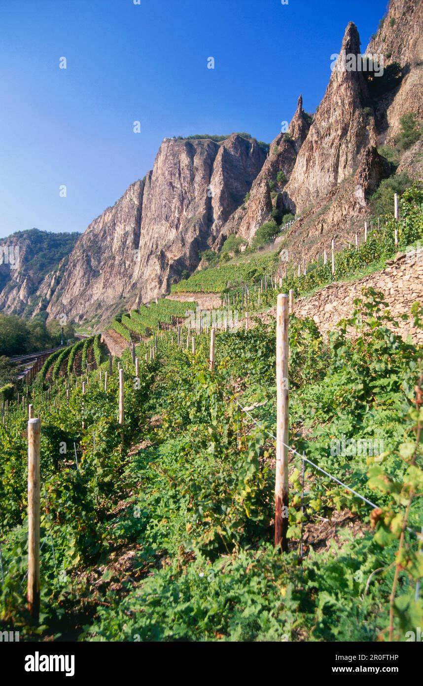 View over vineyard to Rotenfels with Bastion, Traisen, Rhineland-Palatinate, Germany Stock Photo