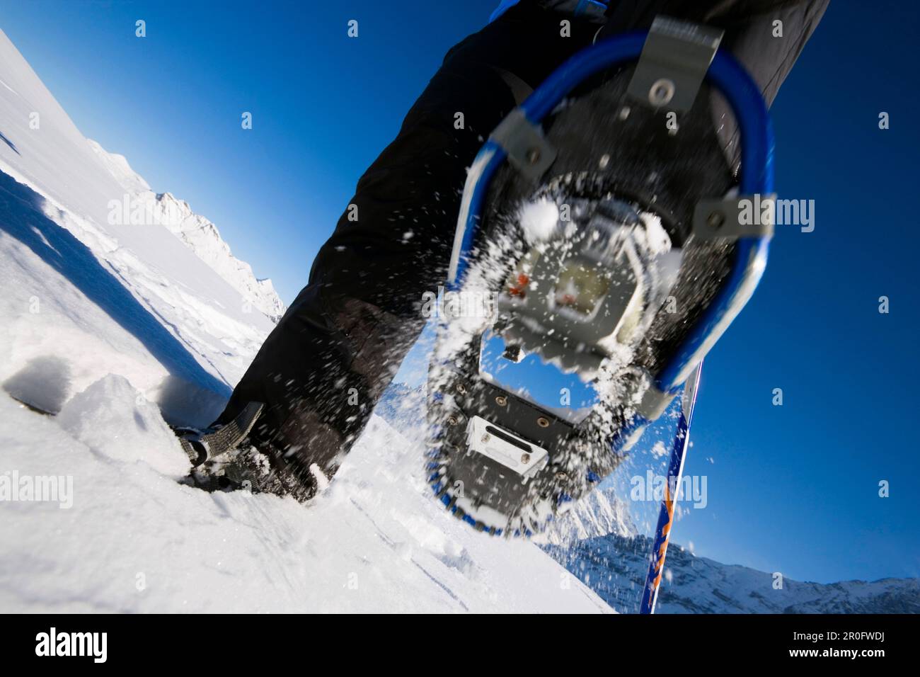 Closeup of a snowshoe, Maennlichen, Grindelwald, Bernese Oberland